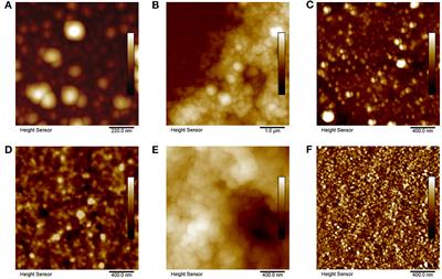 On the Nanomechanical and Viscoelastic Properties of Coatings Made of Recombinant Sea Star Adhesive Proteins